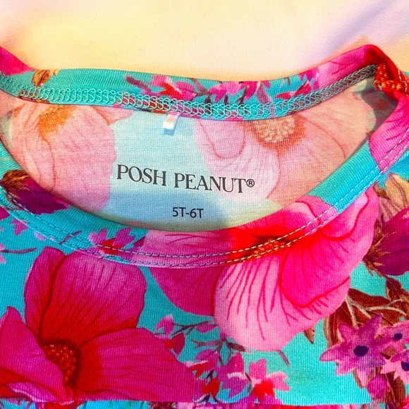 Posh peanut 5T/6T shirt shorts bright vibrant pink and blue - Picture 3 of 6